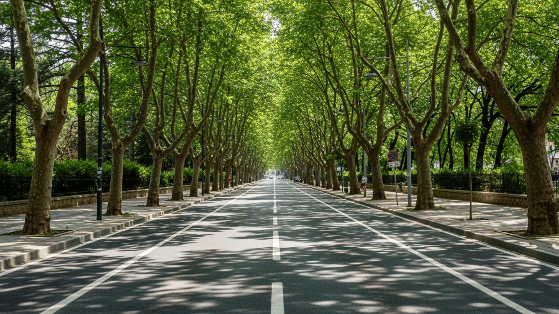 Bağdat Caddesi